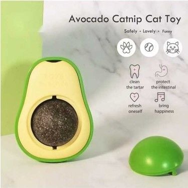 Petshop Ürünleri - 7